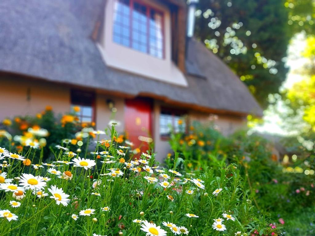 Granny Mouse Country House & Spa Balgowan Екстериор снимка